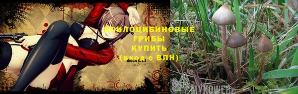 а пвп мука Инта