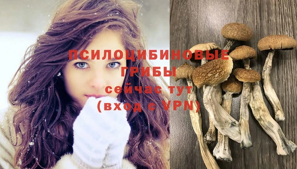 мдма Инсар